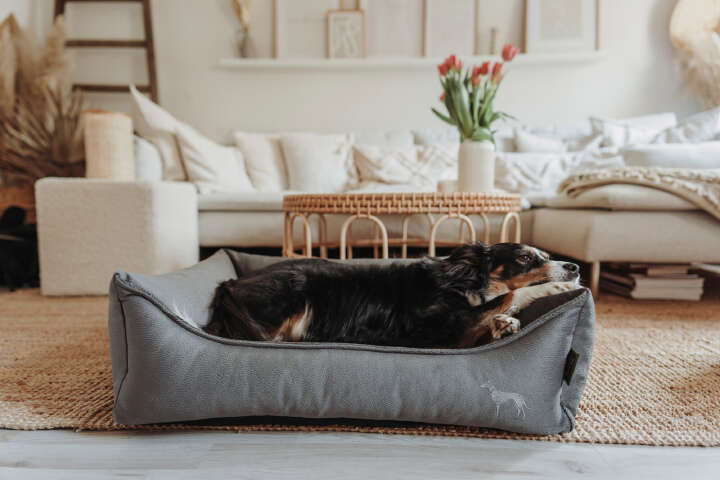 HUNTER Orthopädisches Hundesofa Merida